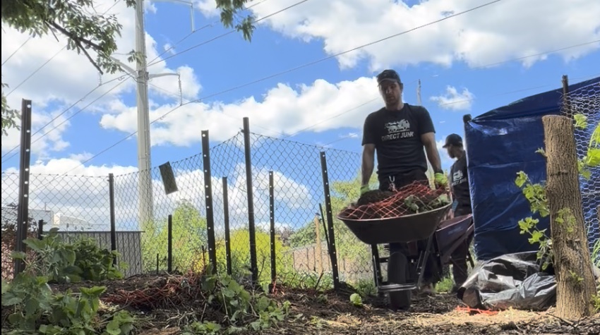 Branch and garden debris removal