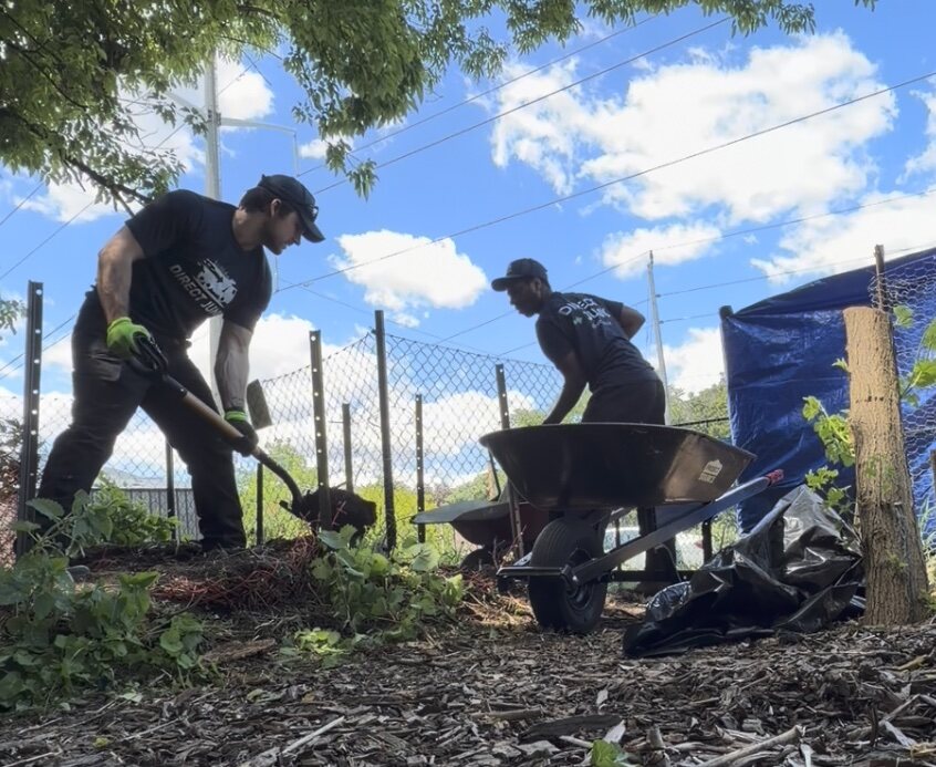 Direct Junk crew shoveling yard waste into a wheelbarrow