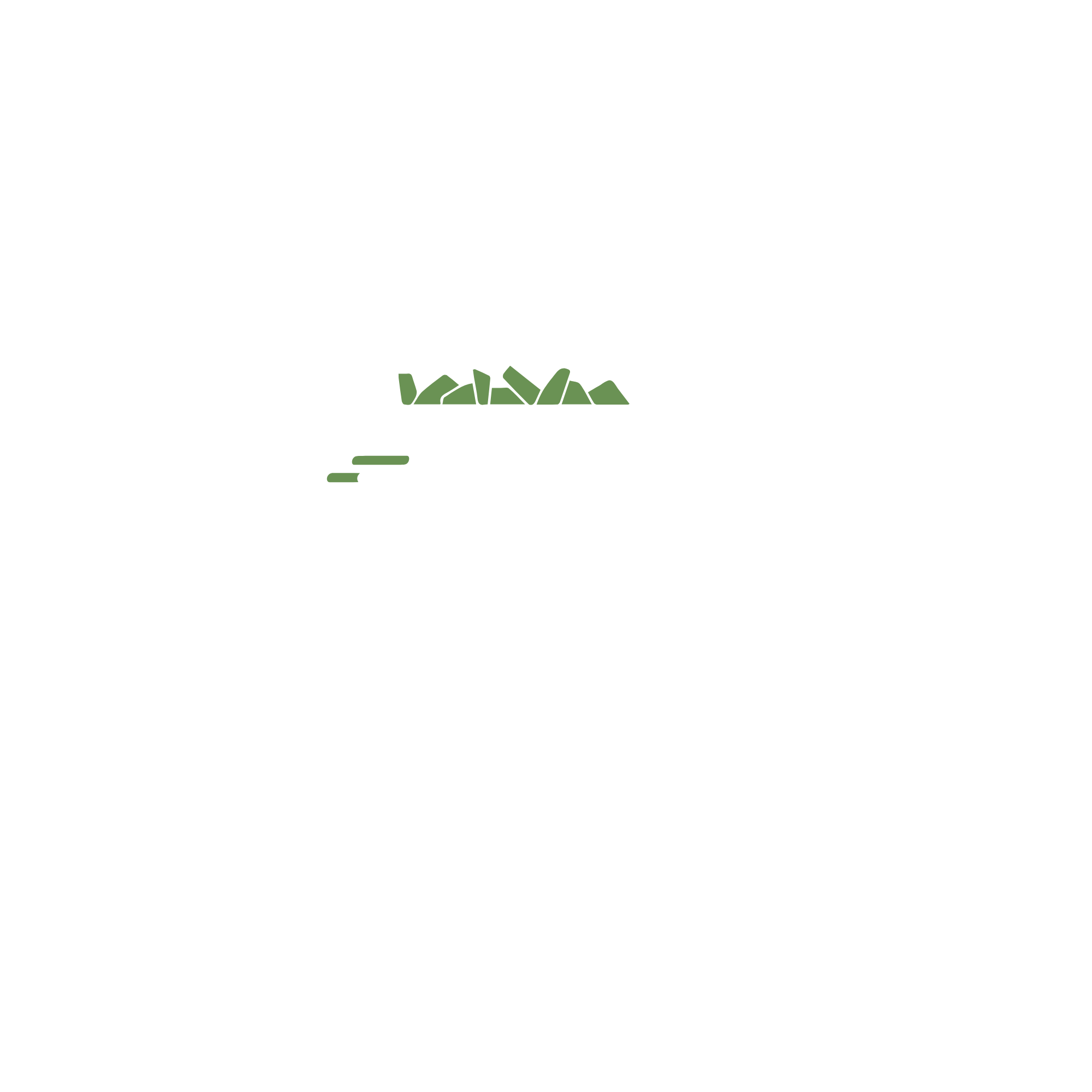 Direct Junk Logo