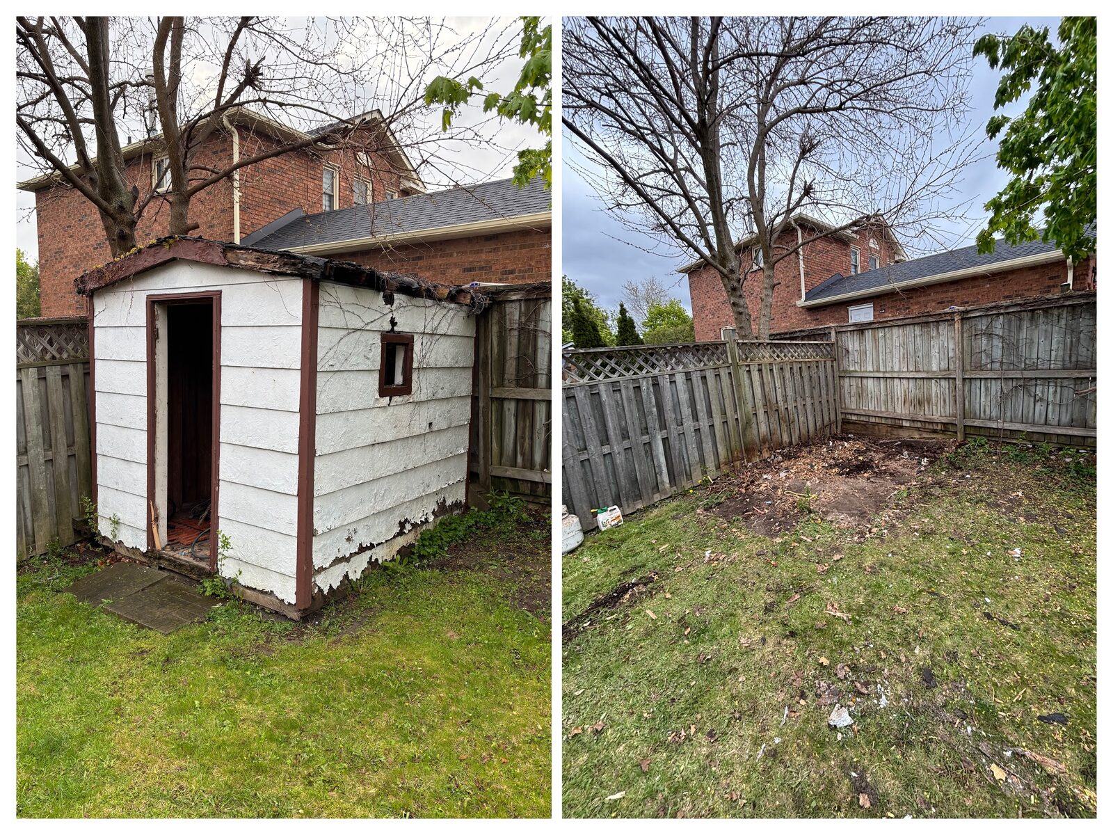 Before and after backyard shed removal