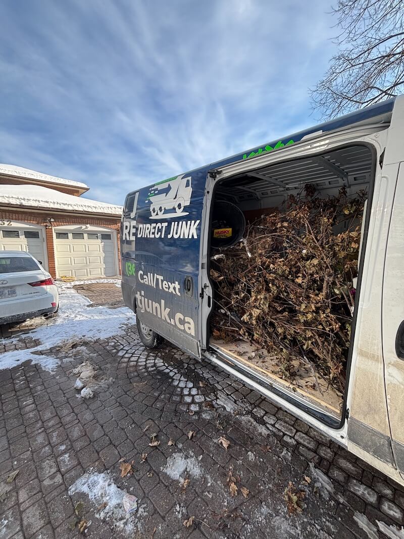 Yard waste removal with branches and outdoor debris